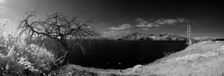 Enlarge photo 110