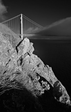 Enlarge photo 105