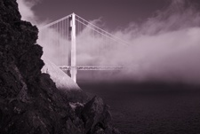 Enlarge photo 103