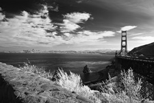 Enlarge photo 95
