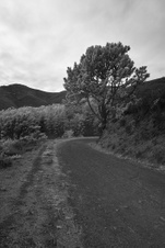 Enlarge photo 94