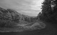 Enlarge photo 92