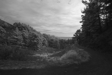Enlarge photo 93