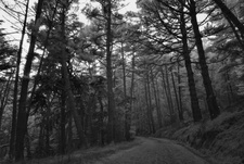 Enlarge photo 91