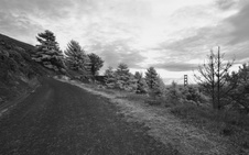 Enlarge photo 87