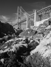 Enlarge photo 71