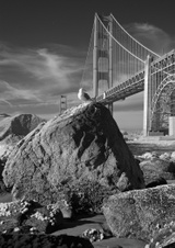 Enlarge photo 70
