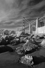 Enlarge photo 66