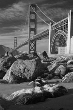 Enlarge photo 65