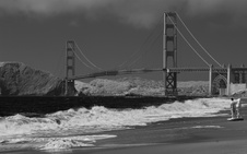 Enlarge photo 61