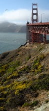 Enlarge photo 184