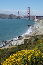 Enlarge photo 182