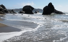 Enlarge photo 172