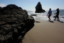 Enlarge photo 171