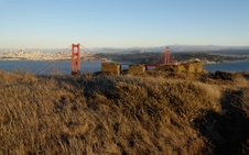 Enlarge photo 157