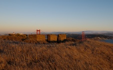 Enlarge photo 155
