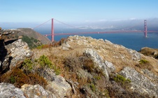 Enlarge photo 149