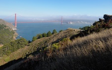 Enlarge photo 148