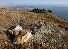 Enlarge photo 145