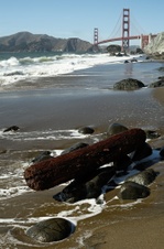 Enlarge photo 129