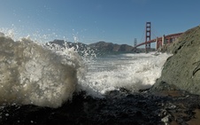 Enlarge photo 132