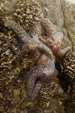 Enlarge photo 119