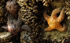 Enlarge photo 118