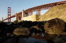 Enlarge photo 115