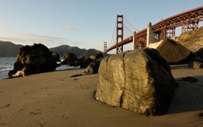 Enlarge photo 114