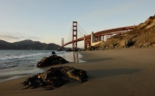 Enlarge photo 113