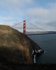 Enlarge photo 97