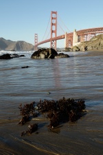 Enlarge photo 85