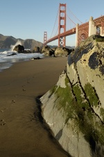 Enlarge photo 84