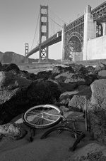 Enlarge photo 81