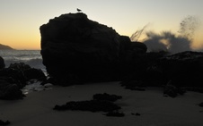 Enlarge photo 79