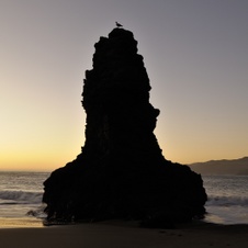 Enlarge photo 78