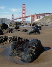 Enlarge photo 73