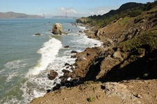 Enlarge photo 195