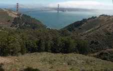 Enlarge photo 236