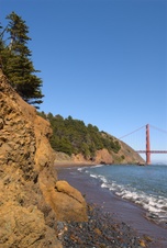 Enlarge photo 234