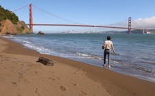Enlarge photo 233