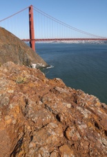 Enlarge photo 231