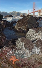 Enlarge photo 248