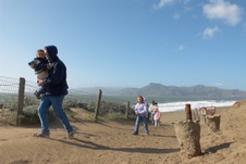 Enlarge photo 242