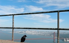 Enlarge photo 279