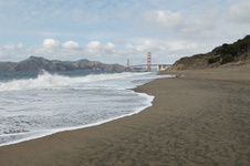 Enlarge photo 275