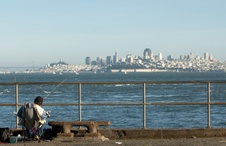 Enlarge photo 272