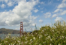 Enlarge photo 237