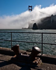 Enlarge photo 51