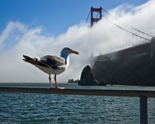 Enlarge photo 50